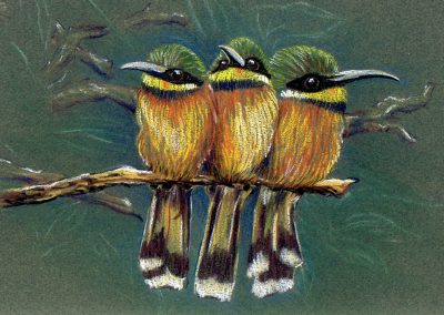Pastel drawing on green paper of three small, brightly-colored birds huddled together on a branch.
