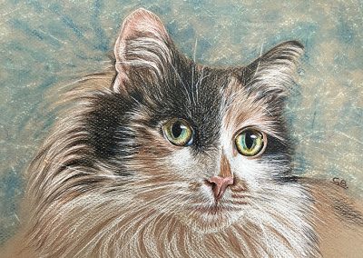 A pastel artwork of a long-haired cat against a pale blue-green background.