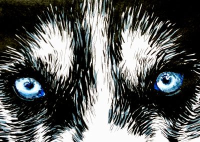Close up pen and marker drawing of a husky dog's face with emphasis on the blue eyes.