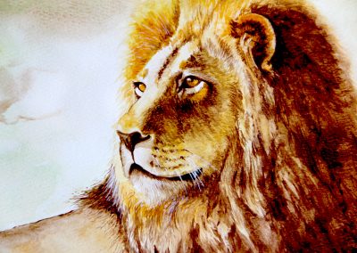 Watercolour painting of a male lion