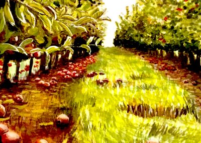 A watercolor painting of an apple orchard row, with fallen apples in the foreground against a backdrop of bright green grass and dense, green apple tree foliage.