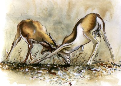 Two antelope spar in a watercolor painting of muted browns and greys.