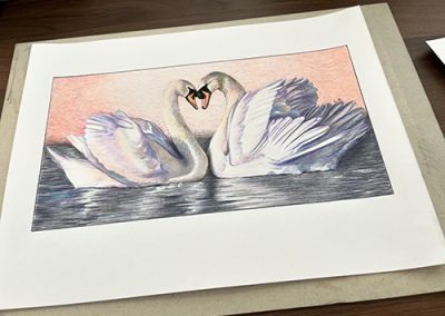 Drawing of two swans with faces touching to form a heart-shape against a pastel background and watery foreground.