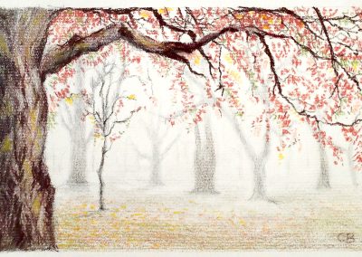 pastel drawing of a foggy morning with an tree in late autumn foliage of oranges and yellows.
