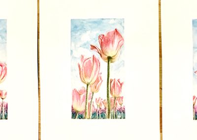 Three paintings of pink tulips taken from a low angle so tulips are seen from underneath