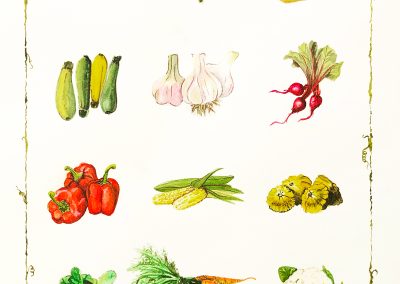 Watercolor montage of various table vegetables from onions to carrots.