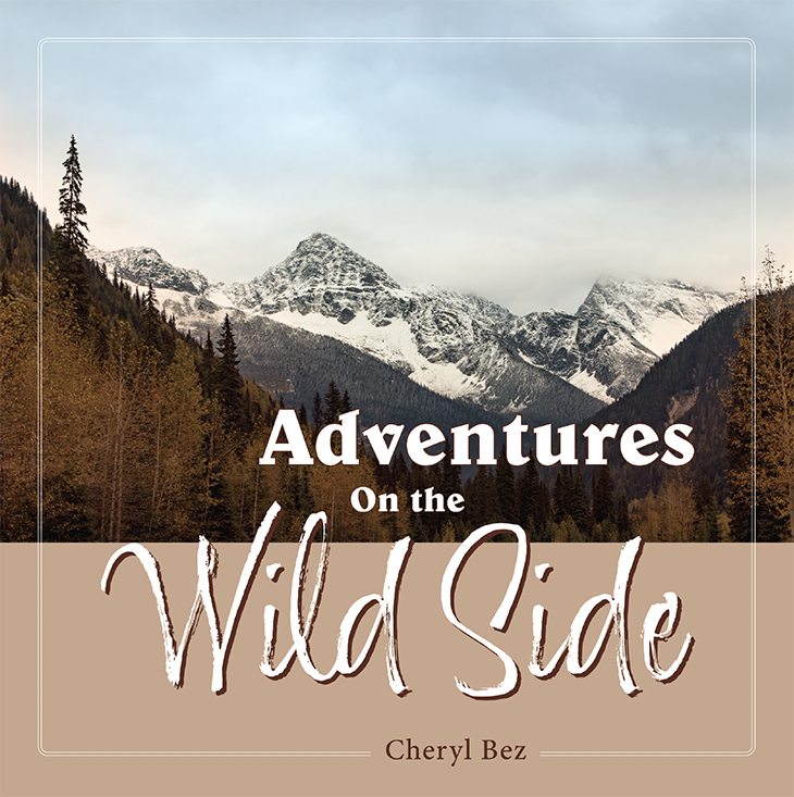 Adventures On the Wild Side book cover depicting a mountain in the background.
