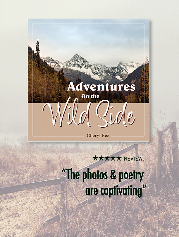 Adventures On the Wild Side book cover depicting a mountain in the background.